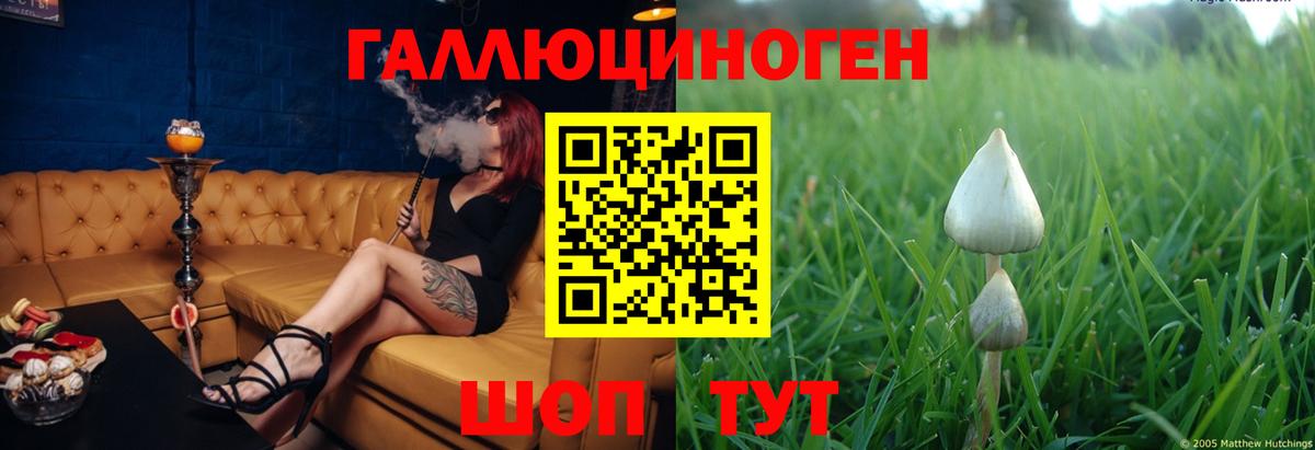 Псилоцибиновые грибы Magic Shrooms Курган