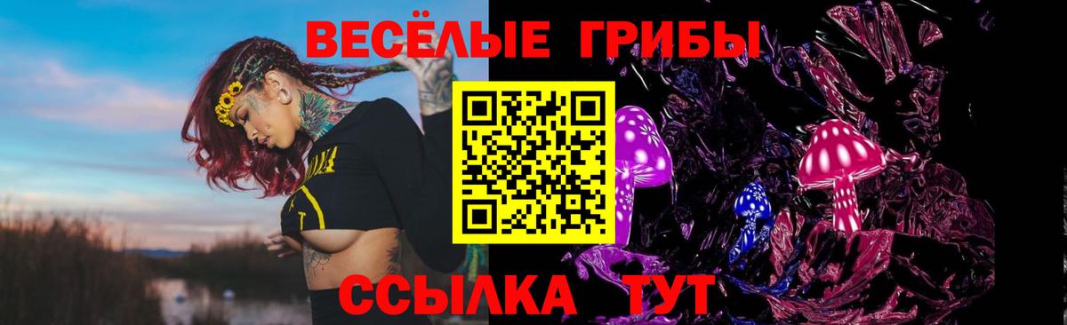 Псилоцибиновые грибы ЛСД  купить закладку  Курган 